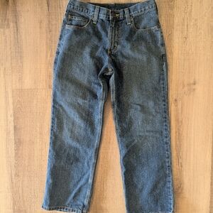 Carhartt Men's Straight Blue Jeans